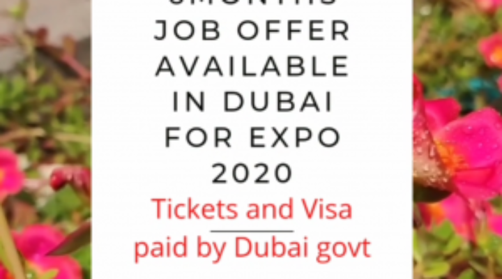 Dubai Expo 2020 Services