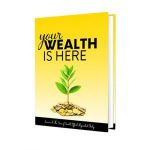 Your Wealth Is Here - eBook