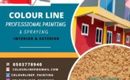 Colour Line Painting Services